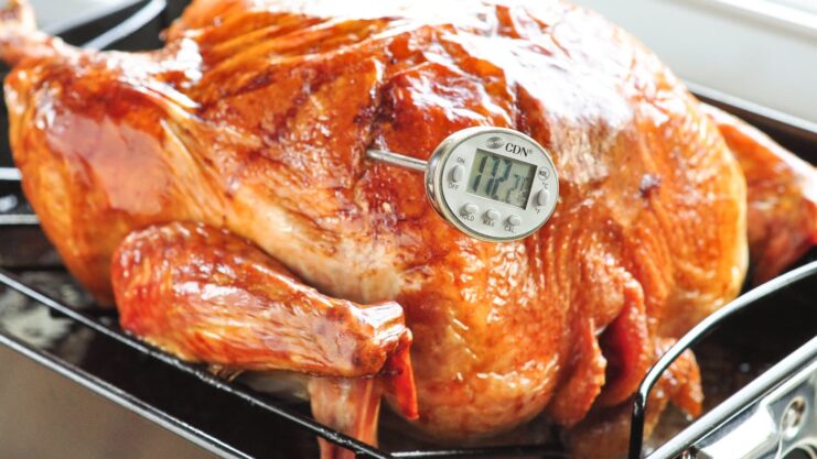 Meat Thermometer