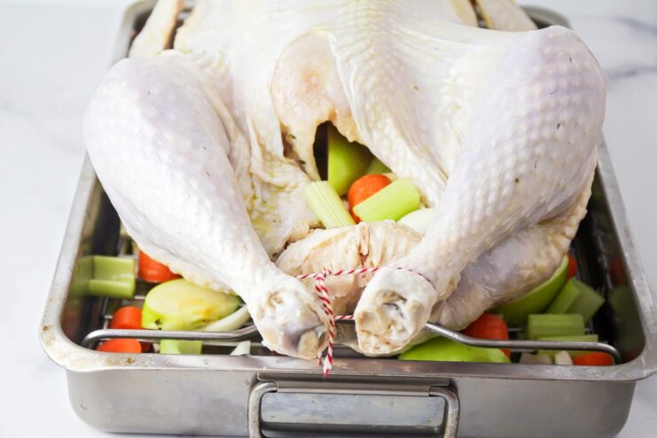 uncooked turkey with veggies